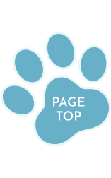 ボタン:PAGE TOP